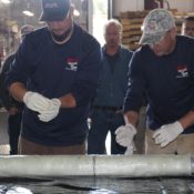 The ‘Why’ for South Carolina’s New Sewers: Bigger, Better (and Beaver)